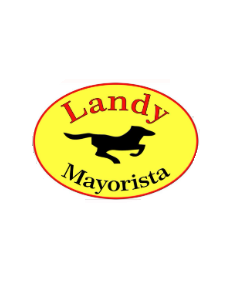 Landy Mayorista Corrientes